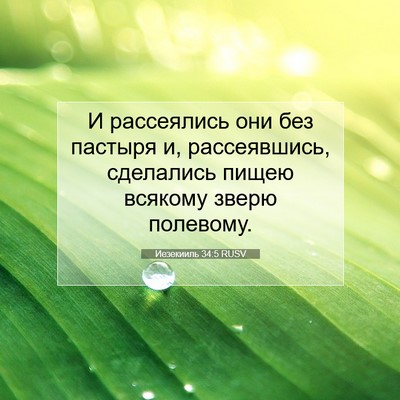 Picture 07 - Иезекииль 34:5 RUSV - И рассеялись они без - Bible Verse Picture