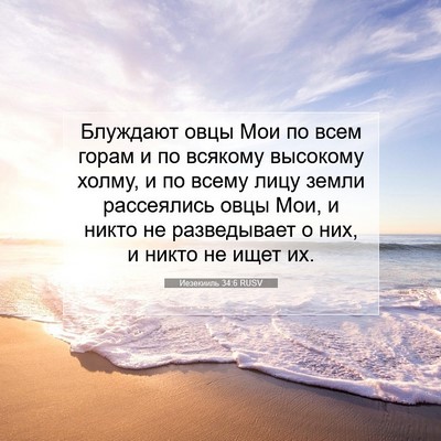 Picture 07 - Иезекииль 34:6 RUSV - Блуждают овцы Мои по всем - Bible Verse Picture