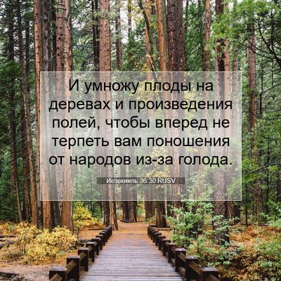 Picture 07 - Иезекииль 36:30 RUSV - И умножу плоды на деревах и - Bible Verse Picture