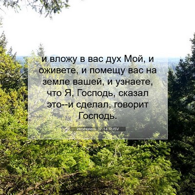 Picture 07 - Иезекииль 37:14 RUSV - и вложу в вас дух Мой, и - Bible Verse Picture