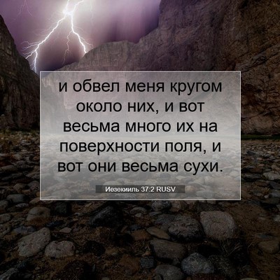 Picture 07 - Иезекииль 37:2 RUSV - и обвел меня кругом около - Bible Verse Picture