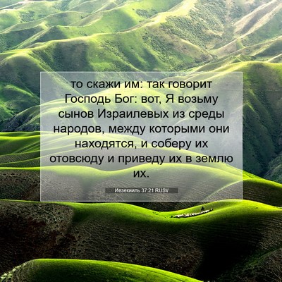 Picture 07 - Иезекииль 37:21 RUSV - то скажи им: так говорит - Bible Verse Picture