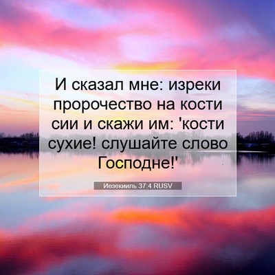 Picture 07 - Иезекииль 37:4 RUSV - И сказал мне: изреки - Bible Verse Picture