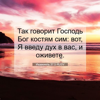 Picture 07 - Иезекииль 37:5 RUSV - Так говорит Господь Бог - Bible Verse Picture