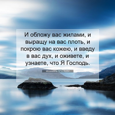 Picture 07 - Иезекииль 37:6 RUSV - И обложу вас жилами, и - Bible Verse Picture