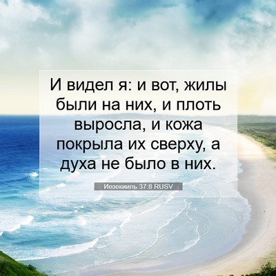 Picture 07 - Иезекииль 37:8 RUSV - И видел я: и вот, жилы были - Bible Verse Picture