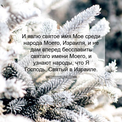 Picture 07 - Иезекииль 39:7 RUSV - И явлю святое имя Мое среди - Bible Verse Picture