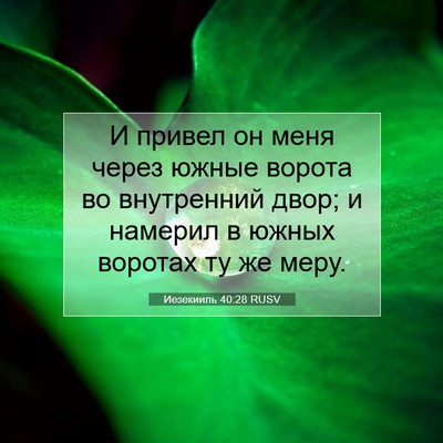 Picture 07 - Иезекииль 40:28 RUSV - И привел он меня через - Bible Verse Picture