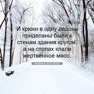 Picture 07 - Иезекииль 40:43 RUSV - И крюки в одну ладонь - Bible Verse Picture