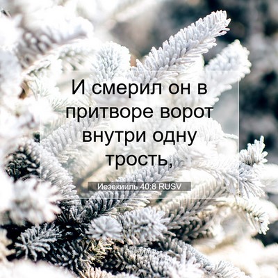 Picture 07 - Иезекииль 40:8 RUSV - И смерил он в притворе - Bible Verse Picture