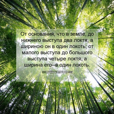 Picture 07 - Иезекииль 43:14 RUSV - От основания, что в земле, - Bible Verse Picture