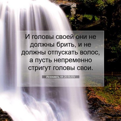 Picture 07 - Иезекииль 44:20 RUSV - И головы своей они не - Bible Verse Picture