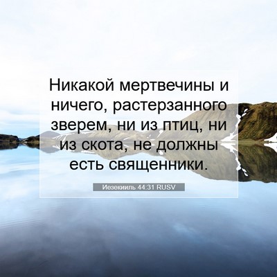Picture 07 - Иезекииль 44:31 RUSV - Никакой мертвечины и - Bible Verse Picture