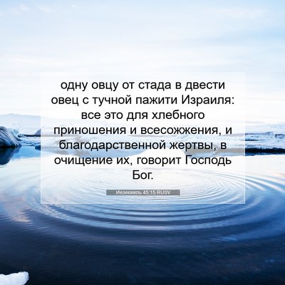 Picture 07 - Иезекииль 45:15 RUSV - одну овцу от стада в двести - Bible Verse Picture