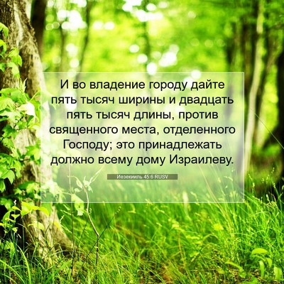 Picture 07 - Иезекииль 45:6 RUSV - И во владение городу дайте - Bible Verse Picture