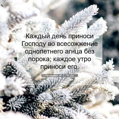 Picture 07 - Иезекииль 46:13 RUSV - Каждый день приноси - Bible Verse Picture