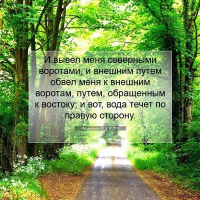 Picture 07 - Иезекииль 47:2 RUSV - И вывел меня северными - Bible Verse Picture