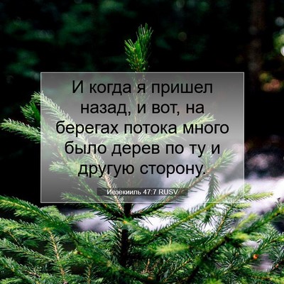 Picture 07 - Иезекииль 47:7 RUSV - И когда я пришел назад, и - Bible Verse Picture