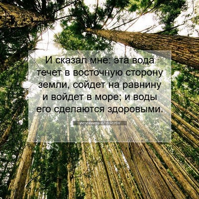 Picture 07 - Иезекииль 47:8 RUSV - И сказал мне: эта вода - Bible Verse Picture
