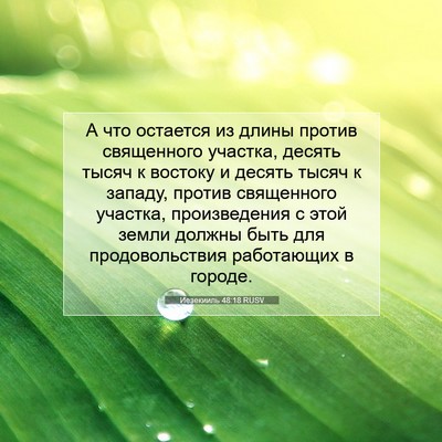 Picture 07 - Иезекииль 48:18 RUSV - А что остается из длины - Bible Verse Picture