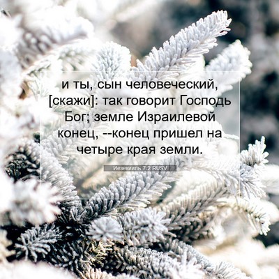 Picture 07 - Иезекииль 7:2 RUSV - и ты, сын человеческий, - Bible Verse Picture