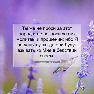 Picture 07 - Иеремия 11:14 RUSV - Ты же не проси за этот - Bible Verse Picture