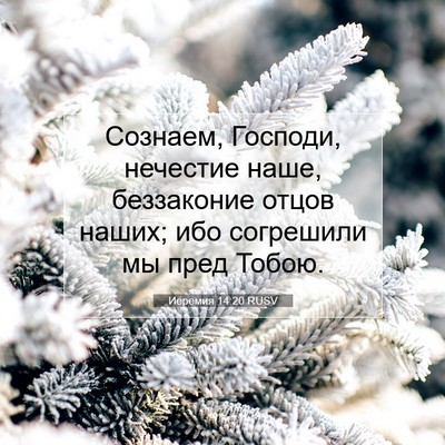 Picture 07 - Иеремия 14:20 RUSV - Сознаем, Господи, нечестие - Bible Verse Picture