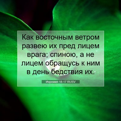 Picture 07 - Иеремия 18:17 RUSV - Как восточным ветром - Bible Verse Picture