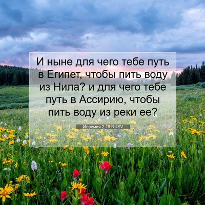 Picture 07 - Иеремия 2:18 RUSV - И ныне для чего тебе путь в - Bible Verse Picture