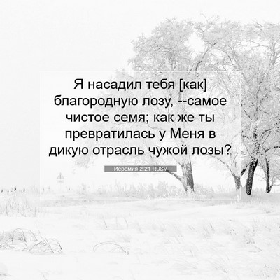 Picture 07 - Иеремия 2:21 RUSV - Я насадил тебя [как] - Bible Verse Picture