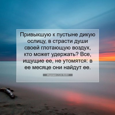 Picture 07 - Иеремия 2:24 RUSV - Привыкшую к пустыне дикую - Bible Verse Picture
