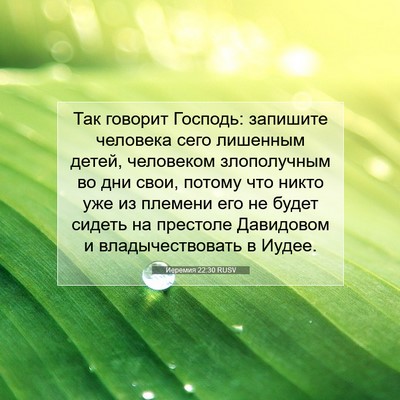 Picture 07 - Иеремия 22:30 RUSV - Так говорит Господь: - Bible Verse Picture