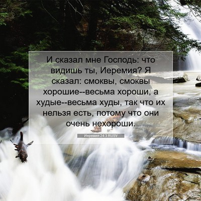 Picture 07 - Иеремия 24:3 RUSV - И сказал мне Господь: что - Bible Verse Picture