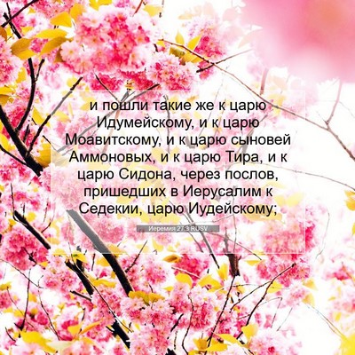 Picture 07 - Иеремия 27:3 RUSV - и пошли такие же к царю - Bible Verse Picture