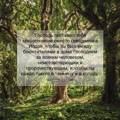 Picture 07 - Иеремия 29:26 RUSV - 'Господь поставил тебя - Bible Verse Picture