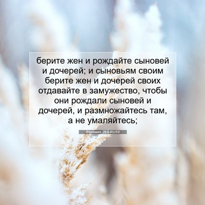 Picture 07 - Иеремия 29:6 RUSV - берите жен и рождайте - Bible Verse Picture