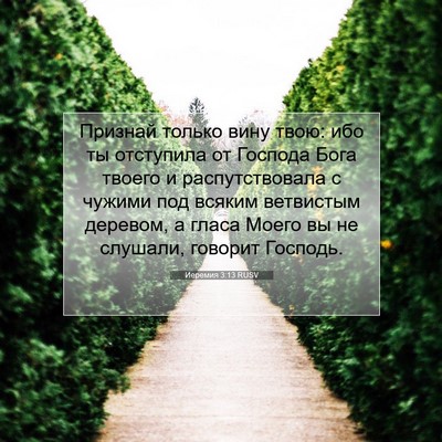 Picture 07 - Иеремия 3:13 RUSV - Признай только вину твою: - Bible Verse Picture