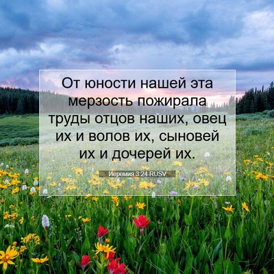 Picture 07 - Иеремия 3:24 RUSV - От юности нашей эта - Bible Verse Picture