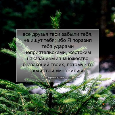 Picture 07 - Иеремия 30:14 RUSV - все друзья твои забыли - Bible Verse Picture