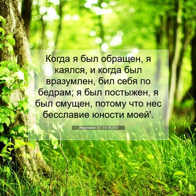 Picture 07 - Иеремия 31:19 RUSV - Когда я был обращен, я - Bible Verse Picture