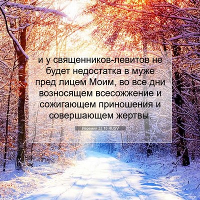 Picture 07 - Иеремия 33:18 RUSV - и у священников-левитов не - Bible Verse Picture