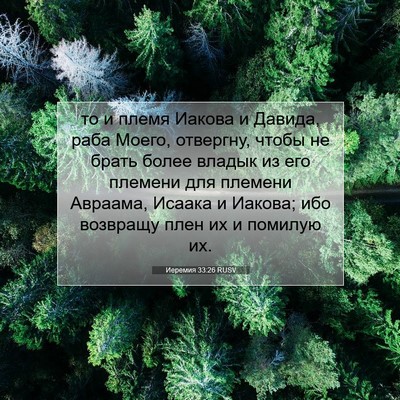 Picture 07 - Иеремия 33:26 RUSV - то и племя Иакова и Давида, - Bible Verse Picture