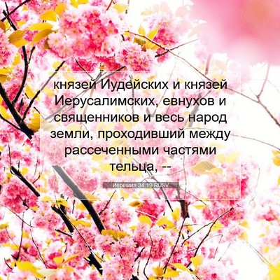 Picture 07 - Иеремия 34:19 RUSV - князей Иудейских и князей - Bible Verse Picture