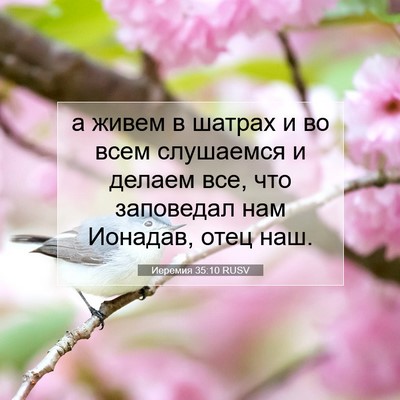 Picture 07 - Иеремия 35:10 RUSV - а живем в шатрах и во всем - Bible Verse Picture