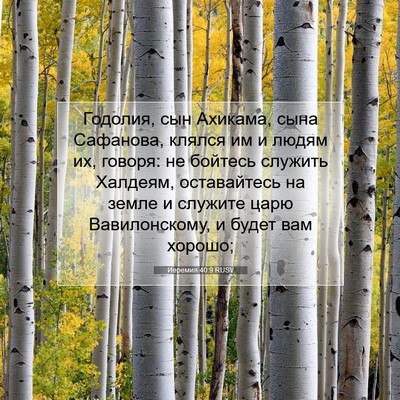 Picture 07 - Иеремия 40:9 RUSV - Годолия, сын Ахикама, сына - Bible Verse Picture