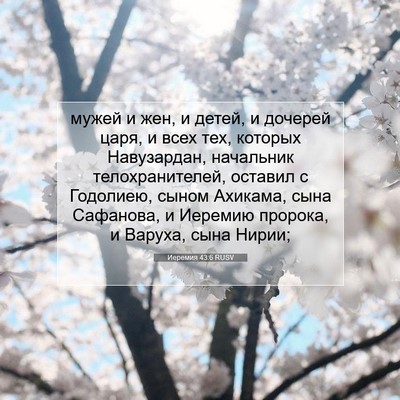 Picture 07 - Иеремия 43:6 RUSV - мужей и жен, и детей, и - Bible Verse Picture