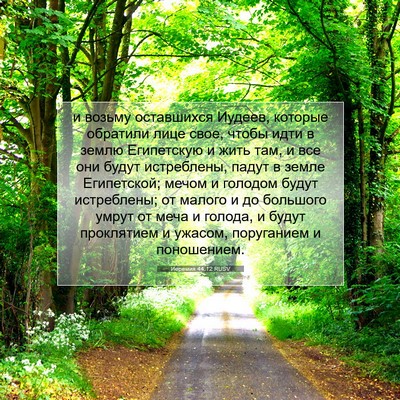 Picture 07 - Иеремия 44:12 RUSV - и возьму оставшихся - Bible Verse Picture
