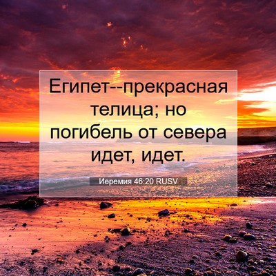 Picture 07 - Иеремия 46:20 RUSV - Египет--прекрасная телица; - Bible Verse Picture