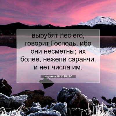 Picture 07 - Иеремия 46:23 RUSV - вырубят лес его, говорит - Bible Verse Picture