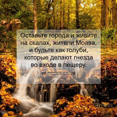 Picture 07 - Иеремия 48:28 RUSV - Оставьте города и живите - Bible Verse Picture